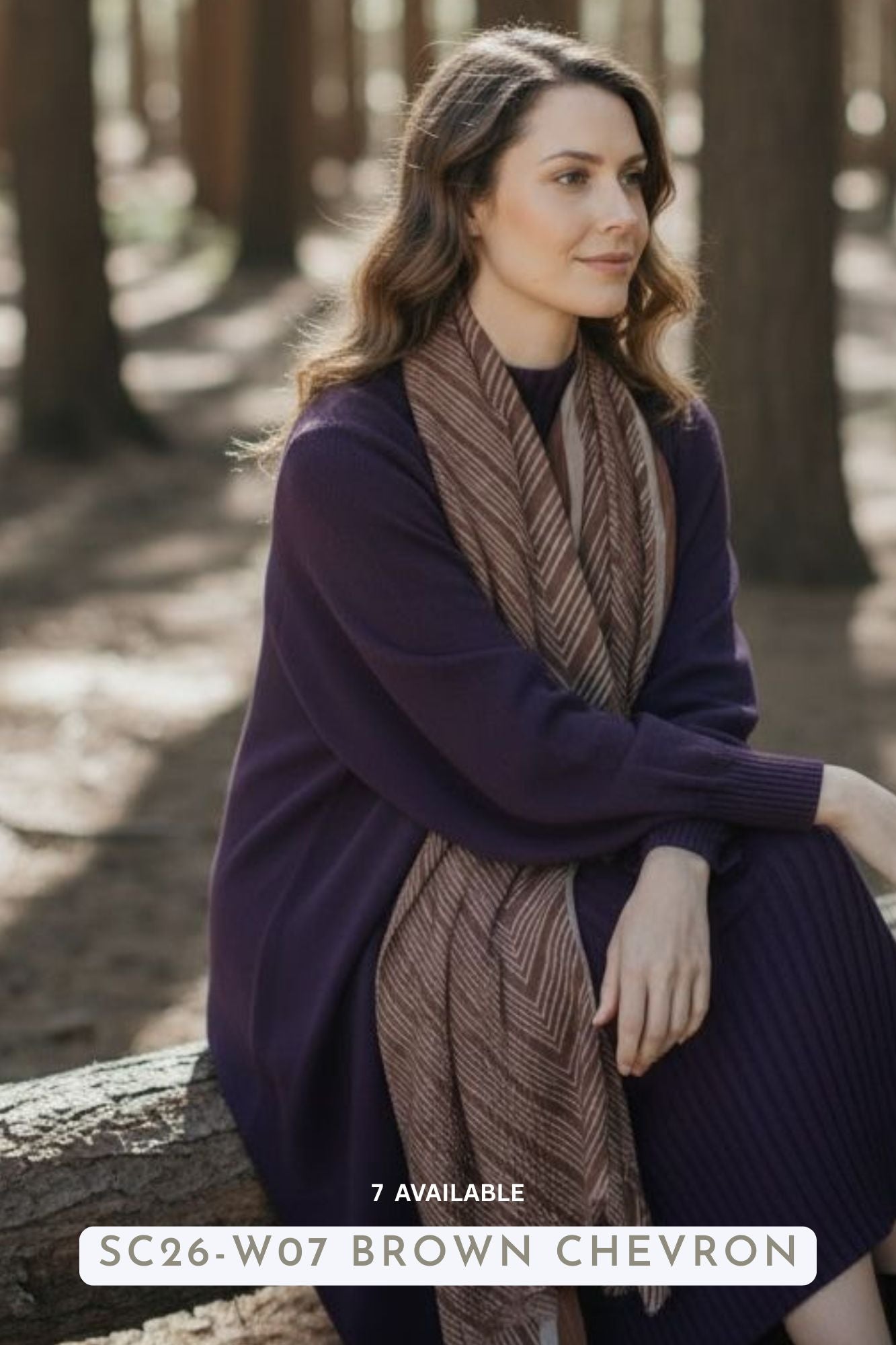 Winter Scarf Brown Chevron